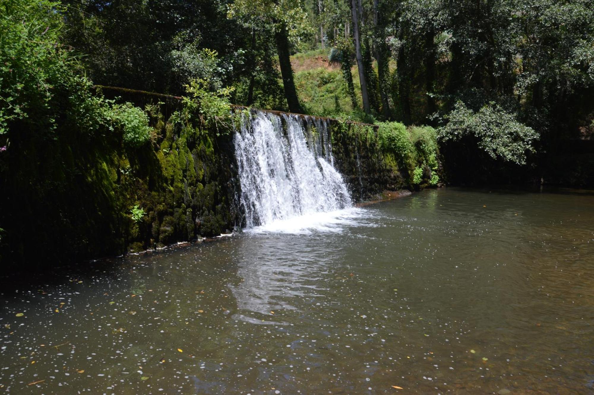 Bed & Breakfast Equitare Rural Miranda do Corvo Exterior foto